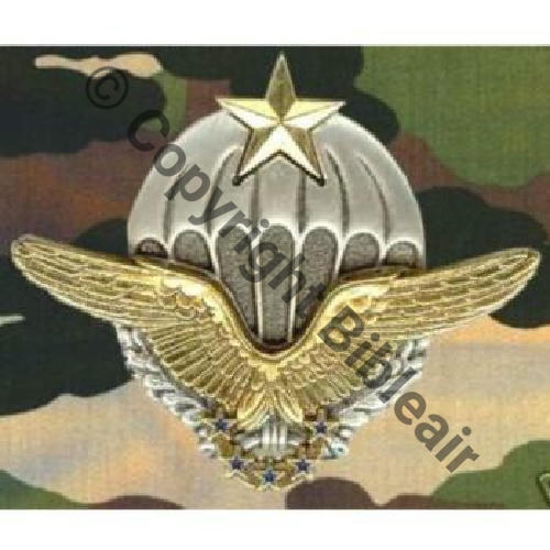 A1458NH BREVET AIR CHUTEUR OPS CPA COINDEROUX 32Eur06.12 