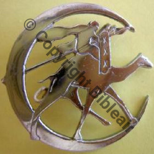 A1482NH 3eDrille VR.551 GB.II.62  SM Bol brillant comme neuf Dos lisse DOUTEUX Sc.militetedemule 140Eur12.07 