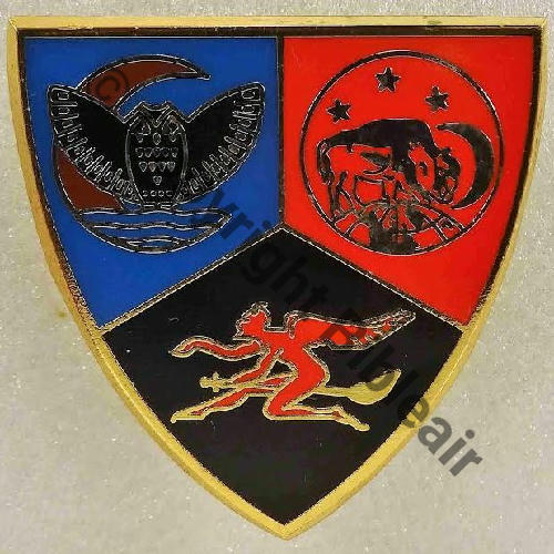 A1489 2018 ESCADRON TRANSFO RAFALE 3.4 AQUITAINE SAINT DIZIER  FIA Sigle Griffes et butees Dos lisse Src.P.GOUT 