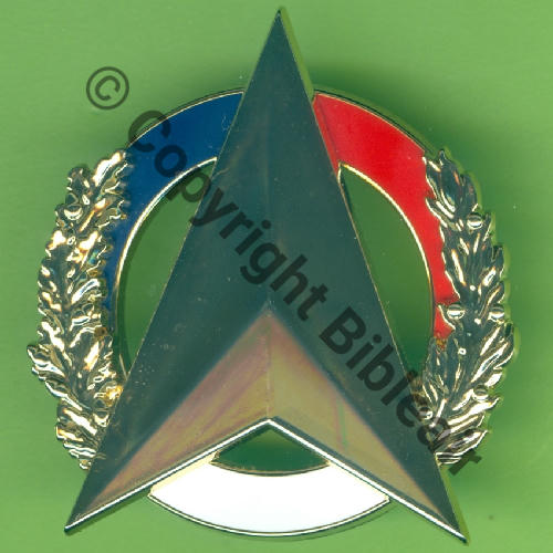 G.... DELEGATION GENERALE ARMEMENT Gxxxx  DRAGO 2Attach PINS Dos irreg  scintillant Src.Y.GENTY 