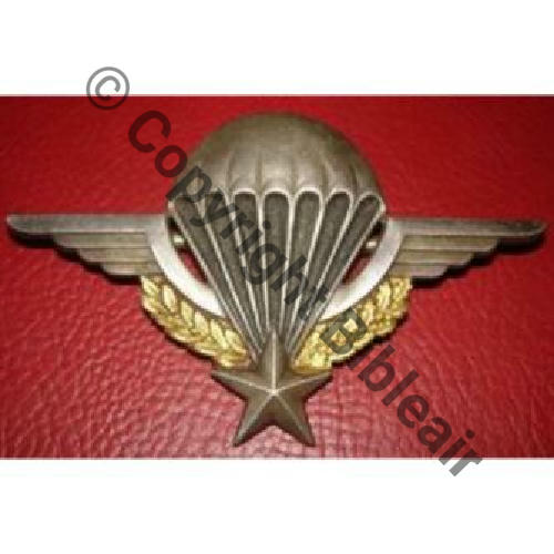 G1185 BREVET PARA  DrBER Editions milit 2Anneaux Dos lisse Embouti G1185.. No3583 145Eur10.06 