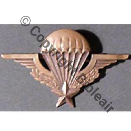 G1185 BREVET PARA  SM Broche Embouti G1185..  9Eur10.06 