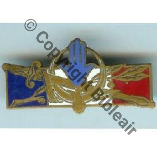 G1314 Forces Francaises AFN G1314  GELAQUE PARIS Sc.fortbravo 10EurInv
