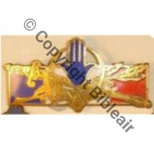 G1314 Forces Francaises AFN G1314 A.V Editions PARIS Bol fentre Dos lisse irreg Sc.palpatine75  3Eur03.07