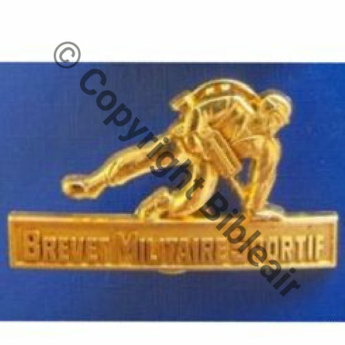 G1429  BREVET SPORTIF MILITAIRE OR  AB.P GS.. Src.p.mustang 8Eurinv 