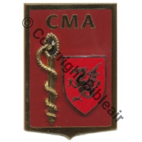 G5265 CMA DRAGUIGNAN SM (AB) Griffes et butees Dos scintillant Src.LAVOCAT PV40Eur