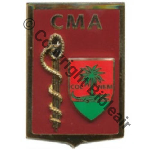 G5281 CMA NIMES SM (AB) Griffes et butees Dos scintillant Src.LAVOCAT PV40Eur
