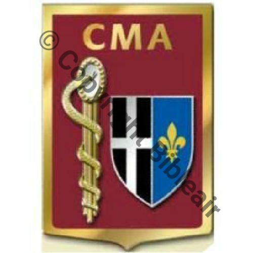 G5286 CMA PHALSBOURG SM (AB) Griffes et butees Dos scintillant Src.insignes.bougeret PV40Eur