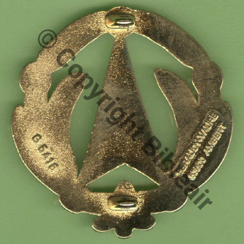G5416 BREVET DGA IETA... Grand modele 43mm 2Anneaux Dos lisse scintillant Src.Y.GENTY 
