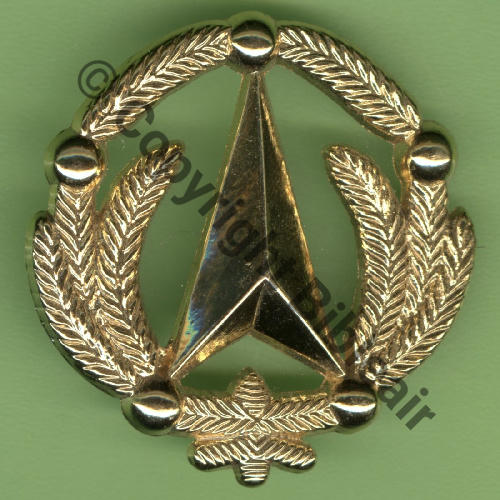 G5416 BREVET DGA IETA... Grand modele 43mm 2Anneaux Dos lisse scintillant Src.Y.GENTY 