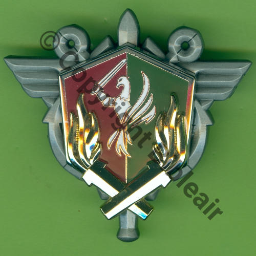 G5793 C.L.E.O Cdt LOG ENERG OPS  FIA Sigle 2Attach PINS Dos scintillant SNH Src.Y.GENTY 15Eur11.23 