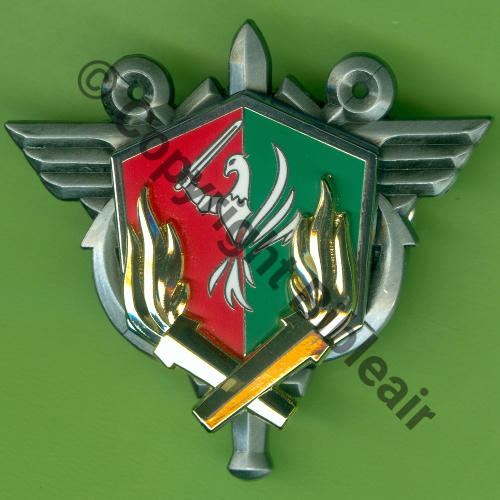 G5793 C.L.E.O Cdt LOG ENERG OPS  FIA Sigle 2Attach PINS Dos scintillant Src.Y.GENTY 15Eur11.23 