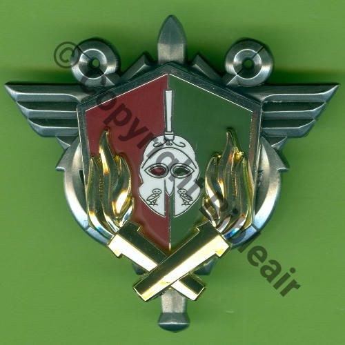 G5794 C.S.T.A Centr Sout Techn Admin  FIA Sigle 2Attach PINS Dos scintillant Src.Y.GENTY 15Eur11.23 