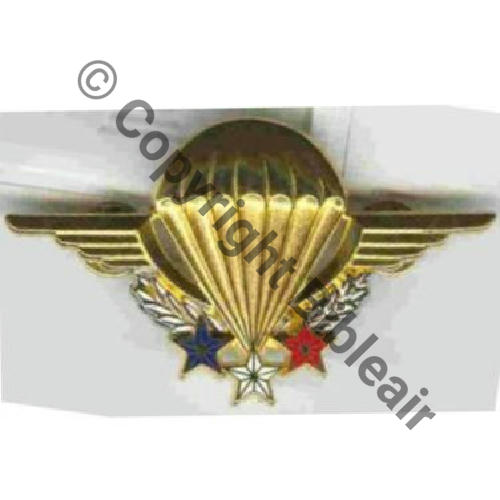 GS.101 BREVET INSTRUCTEUR CHUTEUR OPS    BOUSSEMART 2001 Attache US GS.101... 