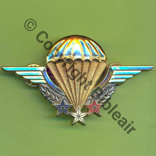 GS.101 BREVET INSTRUCTEUR CHUTEUR OPS DRAGO 2Attach PINS Dos irreg scintillant GS.101 Sc.Y.GENTY 5Eur07.11