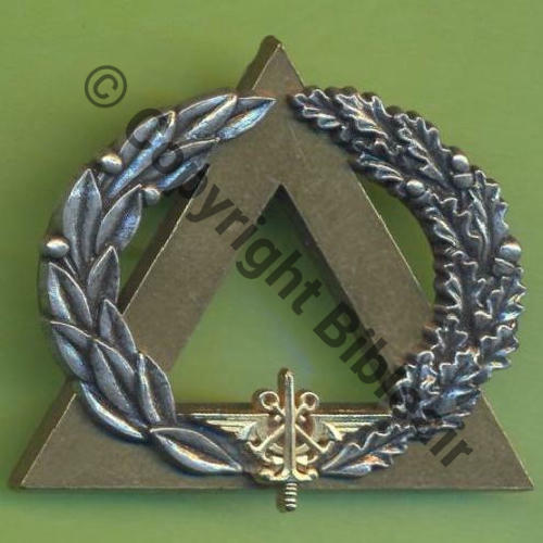 GS.116 BREVET MONITEUR SECOURISTE OR  De 2Attach PINS Dos irreg scintillant Src.Y.GENTY 7Eur11.13 