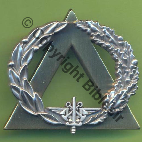 GS.117 BREVET MONITEUR SECOURISTE ARGENT  BOUSSEMART 2009 2Att PINS Dos irreg scintillant Src.Y.GENTY 9Eur (x5) 