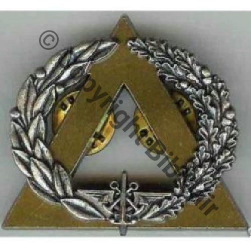 GS.117 MONITEUR SECOURISME ARGENT  De 8Eur(x3) 