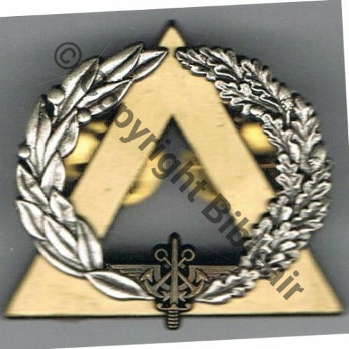 GS.118 BREVET MONITEUR SECOURISTE BRONZE AB.P Src.budg91 8Eur06.14 
