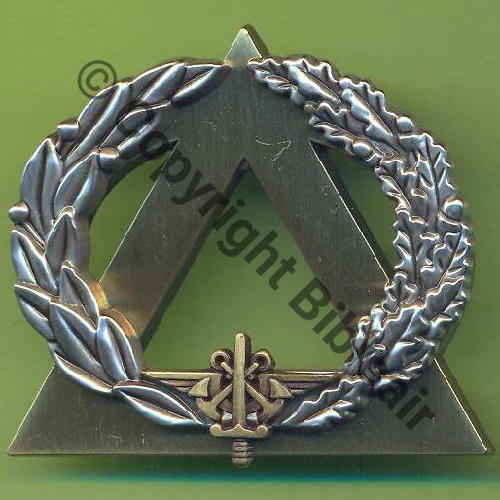 GS.118 MONITEUR SECOURISME BRONZE BOUSSEMART 2009 2Att PINS Dos irreg scintillant)Src.Y.GENTY  9Eur(x5) 