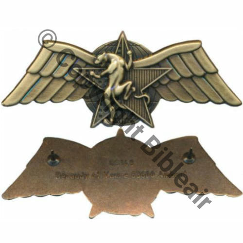 GS.148 BREVET COMBAT CHOC BRONZE CPES DGSE BERAUDY VAURE 2Attaches PINS Dos lisse irreg Src.LAVOCAT PV45Eur
