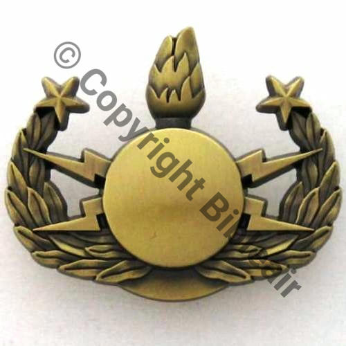 GS.166 BREVET NEDEX 2Etoiles haut Echelon central EM GS.166  AB.P Attach PINS Src.insigneskb  17Eur(x2)  