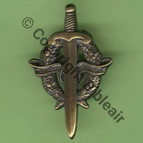 GS.2 BREVET PREPARATION MILITAIRE ELEMENTAIRE  BERAUDY VAURE 2Att PINS Dos irreg scintillant Src.Y.GENTY 