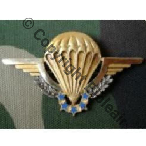 GS.30 BREVET CHUTEUR OPS  COINDEROUX GS30  No124 Sc.christophea 21Eur06.07