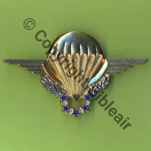 GS.30 BREVET CHUTEUR OPS  De 2Porte epingle complet Ecailles lisses Sc.Y.GENTY 6Eur03.11 95looping 