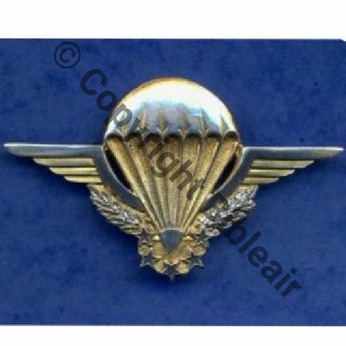 GS.30 BREVET CHUTEUR OPS  DrPNRom Dep 2Anneaux Guilloche sauf haut Embouti Mention Les ins milit repro interdite 