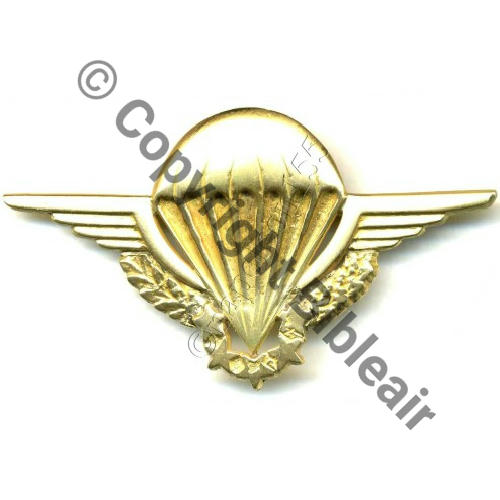 GS.30 BREVET CHUTEUR OPS  SM Eping bascule Dos lisse OR MASSIF 30gr Sc.STELLA 582Eur03.08 