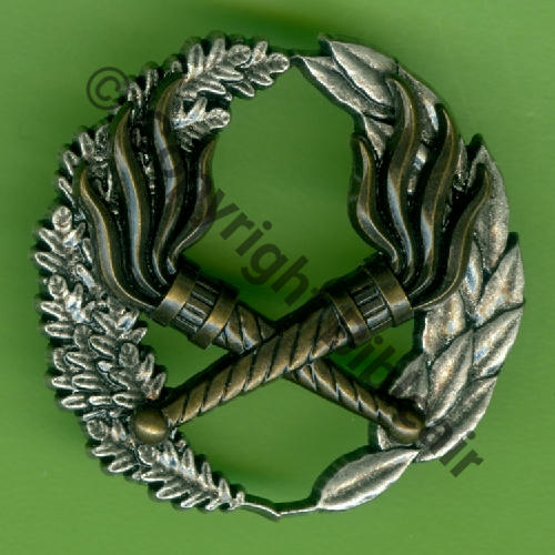 GS.302 SEO BMPELE Brev Milit Prof Elem Log Essence (MDR)  BERAUDY VAURE 2Attach PINS Dos scintillant Src.Y.GENTY 15Eur(x10) 
