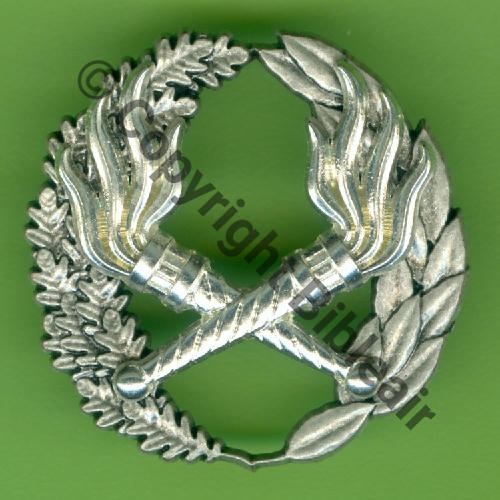 GS.303 SEO CFT2 Certif Form Tech Niveau 2 Log  Essence (MDR)  BERAUDY VAURE 2Attach PINS Dos scintillant Src.Y.GENTY 15Eur(x10) 