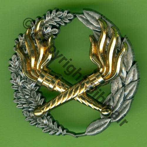 GS.304 SEO CQTP Certif Qualif Tech Petroliere (MDR)  BERAUDY VAURE 2Attach PINS Dos scintillant Src.Y.GENTY 15Eur(x10) 