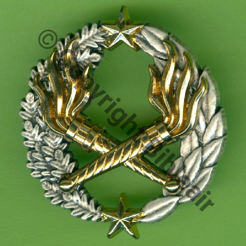 GS.308 SEO BT Brevet Tech (OFF)  BERAUDY VAURE 2Attach PINS Dos scintillant Src.Y.GENTY 15Eur(x10) 