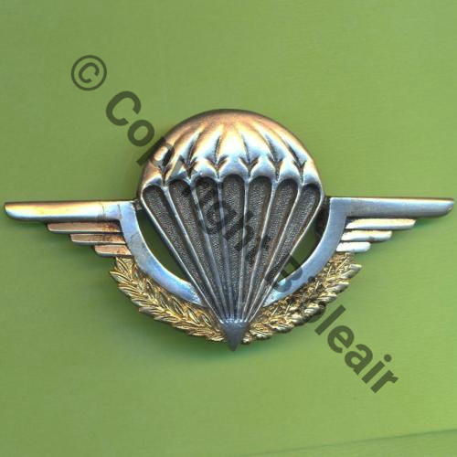 GS.47  BREVET PARA ELEMENTAIRE ELEV PIL (4sauts) GS.47  COINDEROUX Dos lisse Embouti GS47 No7552 (Cdt MAY) Sc.Y.GENTY 