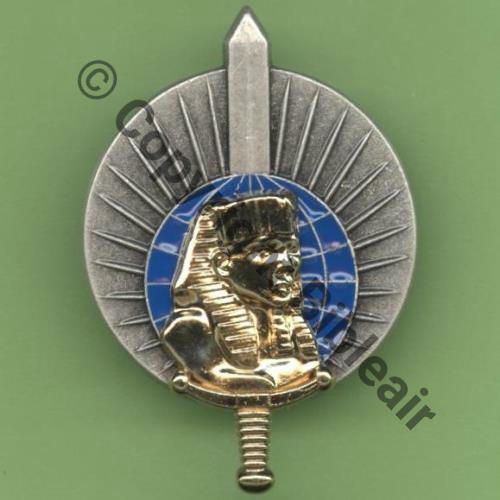 GS.95 BREVET INTERPRETE MILITAIRE  BERAUDY VAURE 2Attach PINS Src.Y.GENTY 12Eur09.15