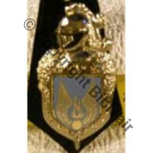 H0696  GENDARMERIE DE AIR Bleu clair  De