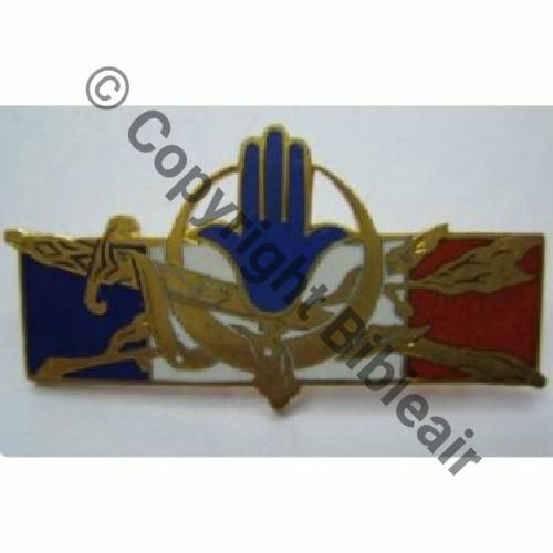 H1314 Forces Francaises en Afrique du Nord H1314  AB.P Chevrons Bol poinconne Sc.misanax