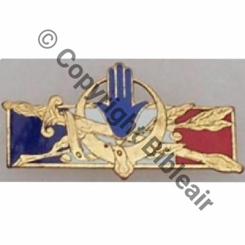 H1314 Forces Francaises en Afrique du Nord H1314  SM Bol Dos lisse irreg 