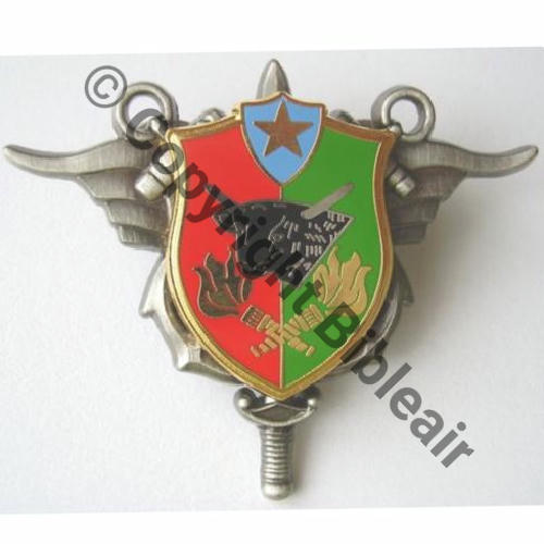 H789 SEA DEPOT ESSENCE AIR BA.125 ISTRES  FIA 2Attach PINS Src.0910m 14Eur(x2) 