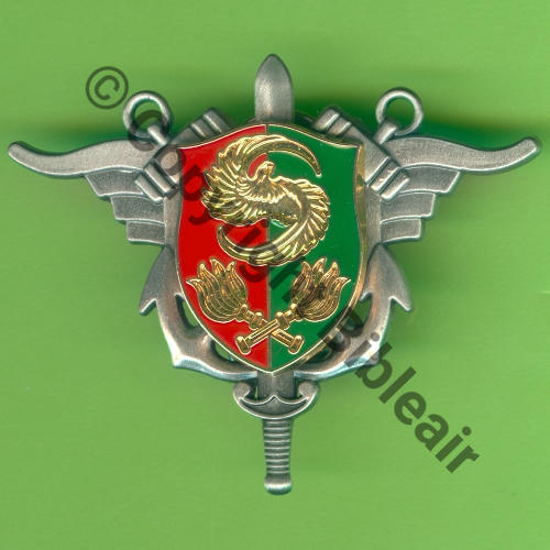 H789 SEA DIRECT EXPLOIT PETROL H789  BOUSSEMART 2Attach PINS Dos irreg scintillant SNH Src.Y.GENTY 13Eur01.23 