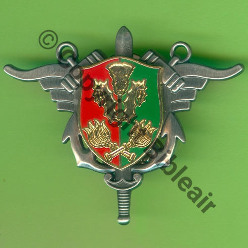 H789 SEA NANCY  BOUSSEMART 2Attach PINS Dos irreg scintillant SNH Src.Y.GENTY 13Eur01.23 