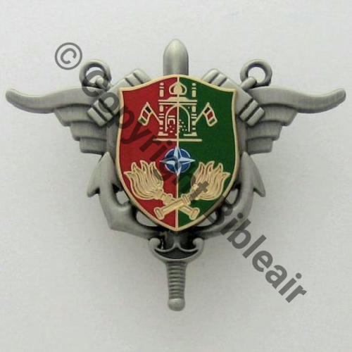 H789 SEA OPEX AFGHANISTAN KAPISA  BOUSSEMART 2Attach PINS Dos irreg scintillant Src.insigneskb PV17Eur