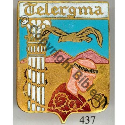 ALGERIE TELERGMA NH BA.211 Charognard haut  DrP+DPast Dos irreg Sc.SEGALEN