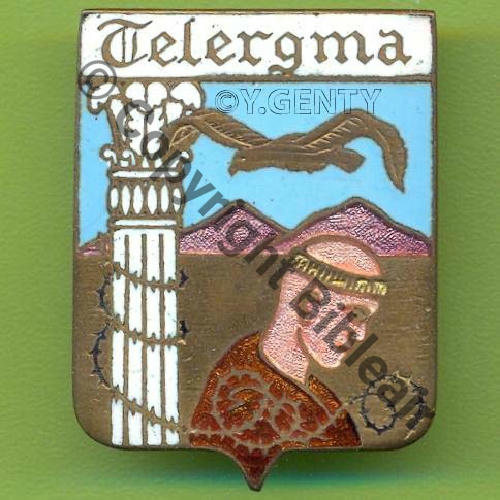 ALGERIE TELERGMA NH BA.211 Charognard haut  DrP+DPast Guilloche 31Eur(x5) 