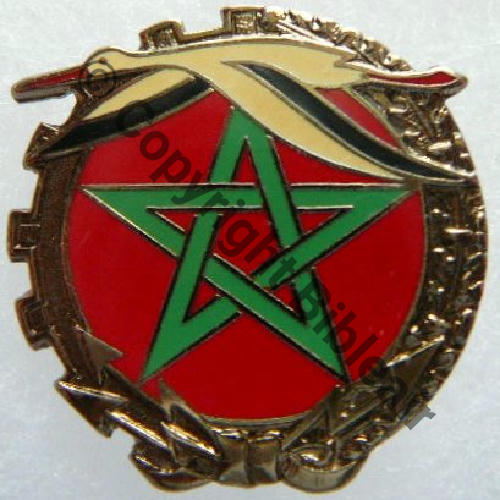 MAROC FES NH BET.724  BA.724  DrP+Past ovale Guilloche etame RESINE.. COURONNE DOREE Src.B.RIGODANZO  