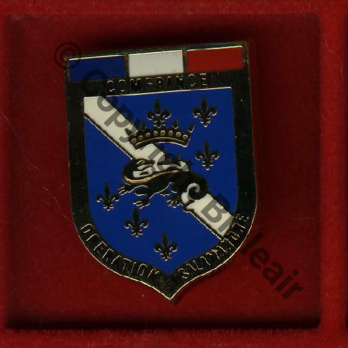 COMFRANCE SALAMANDRE  FIA Sigle Griffes et butees Ecailes irreg 3Eur Invendu 