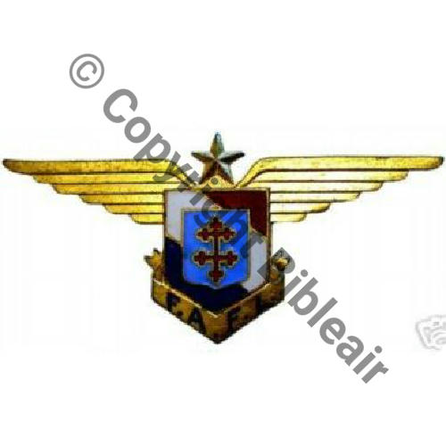 FAFL Grave F.A.F.L.  Gd Modele..   Dos lisse Epingle a bascule No14195 sup a 11.000 Amicale des FAFL Sc.borivoli 43Eur(x2)