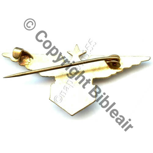 FAFL Grave F.A.F.L. 44x21mm  SM Eping bascule bijoutier depasse Dos lisse irreg Sans No DOS Src.STELLA 14Eur04.16 